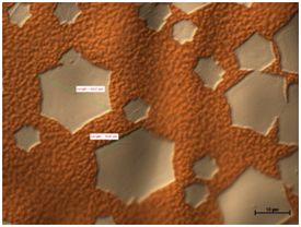 Graphene domains size up to 0.1 mm (Optical microscope image after oxidation in order for better visualization)