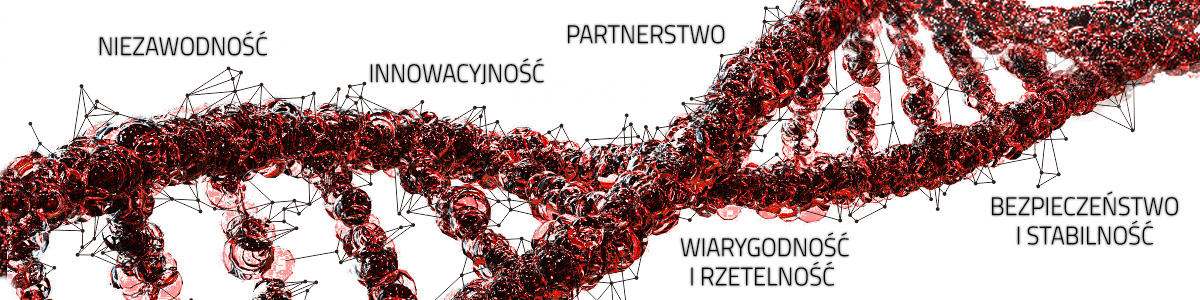 nasze wartości