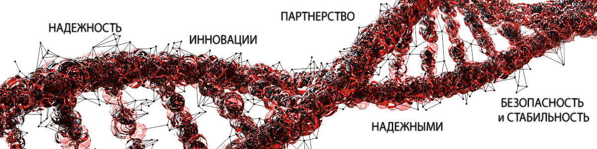 Наши ценности