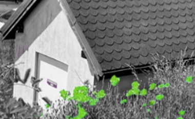 ECOLOGICAL AND ECONOMIC RAIN