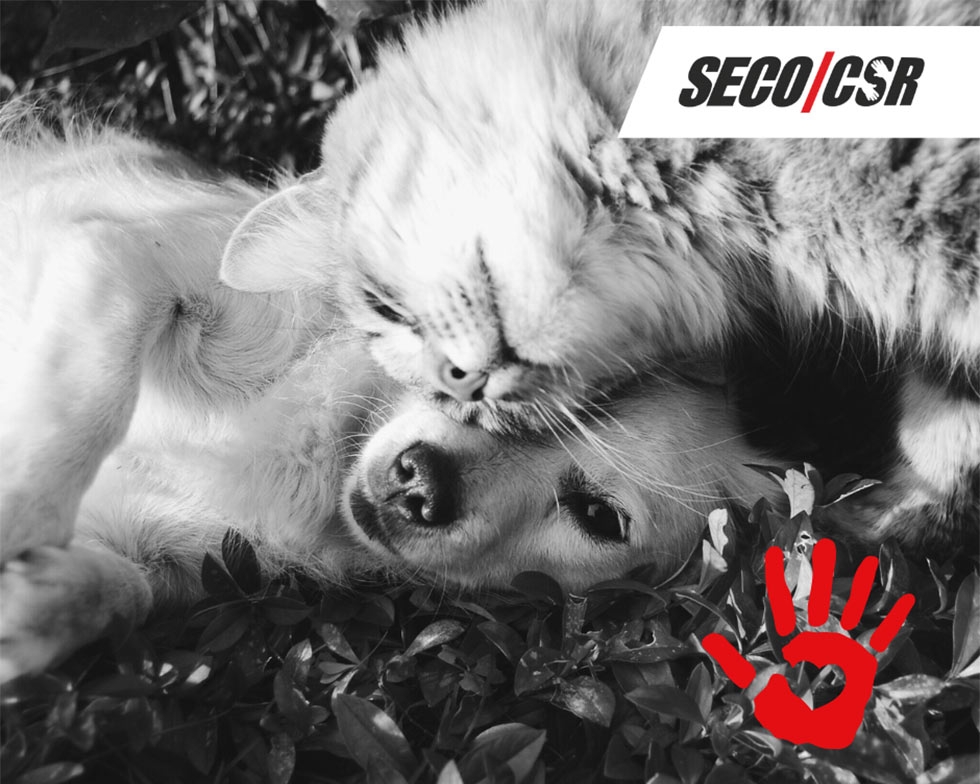 Support for the Animal Shelter