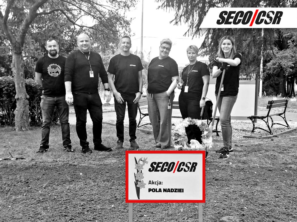 Поля надежды – нарциссы, приносящие помощь