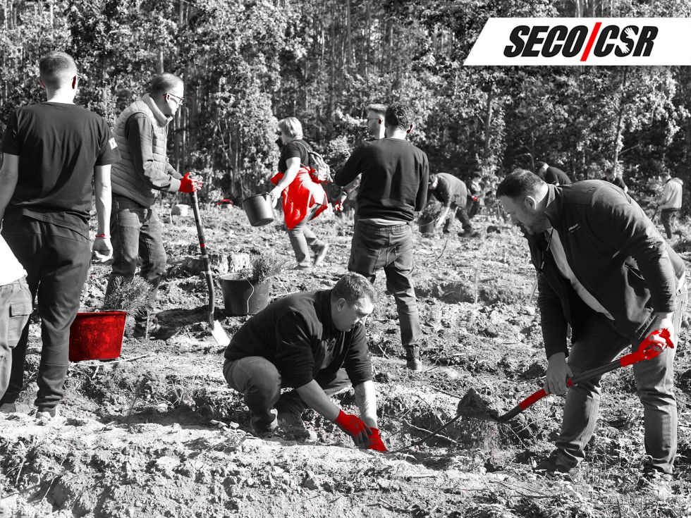 Посадка леса – зелёная ответственность