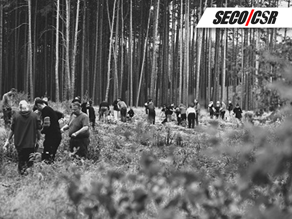 Forest planting 2023